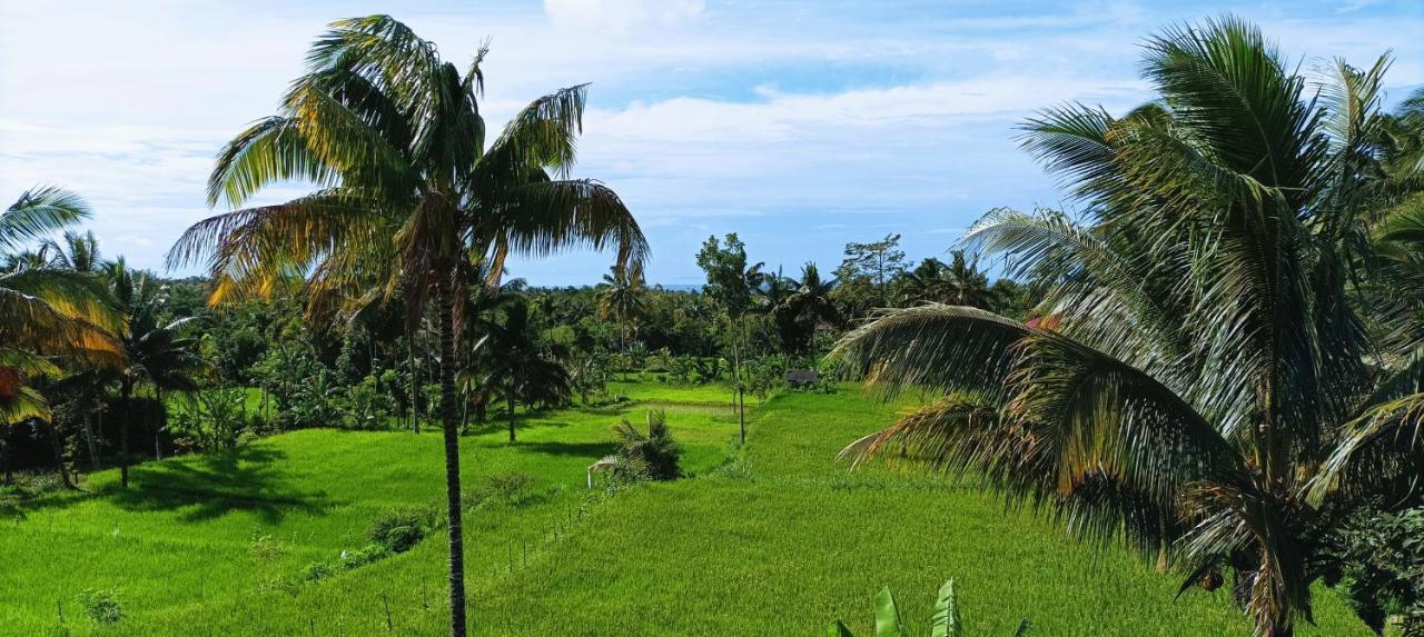 Novia Guest House Lombok-Tetebatu Exteriér fotografie