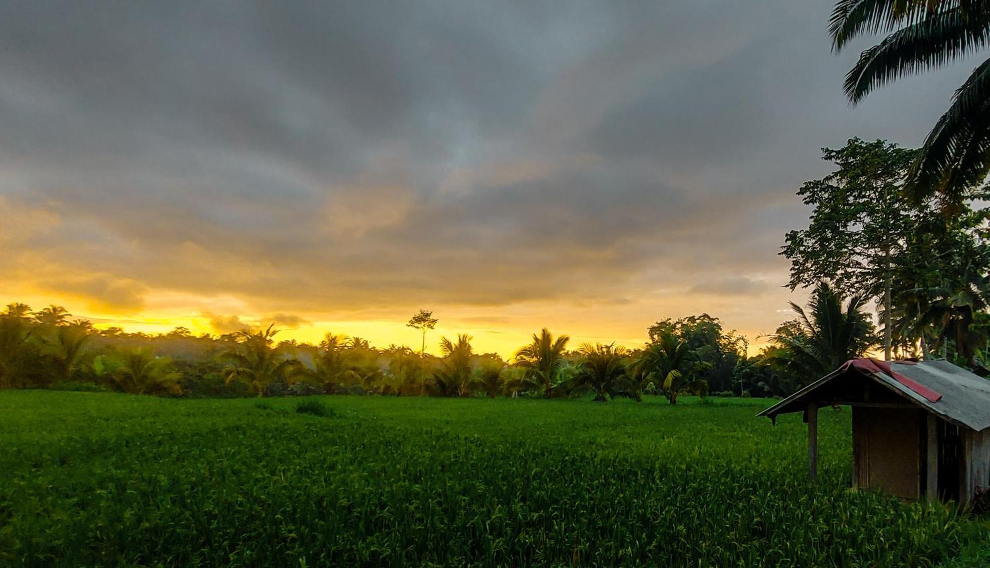 Novia Guest House Lombok-Tetebatu Exteriér fotografie